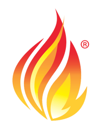 lg_HL7_FHIR_logo lg_HL7_FHIR_logo